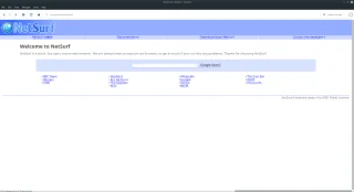 كيفية إعداد متصفح NetSurf على نظام Linux