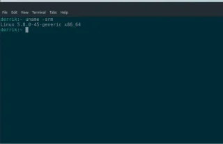 Ubuntu：檢查內核版本 [指南]