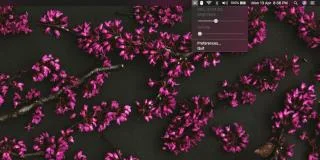 So ändern Sie die Helligkeit für alle Displays unter macOS