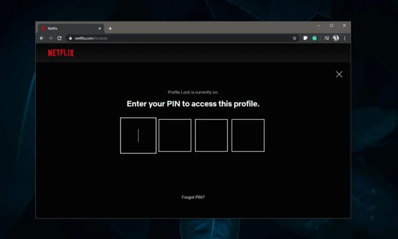 So fügen Sie einem Netflix-Profil eine PIN hinzu