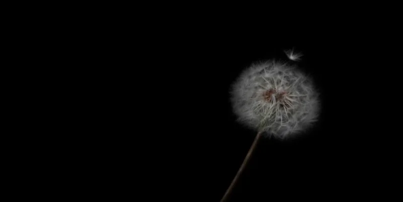 10 幅適用於 Windows 10 的黑色桌面背景壁紙