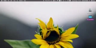 So ändern Sie die Größe von Desktopsymbolen unter macOS