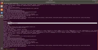 如何在 Ubuntu 上降級軟件