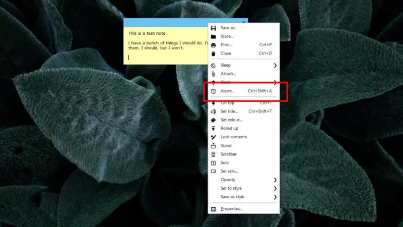如何在 Windows 10 上安排便簽