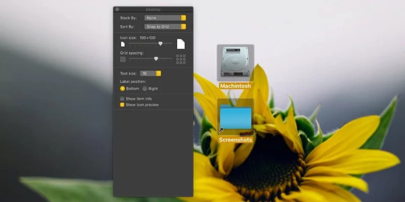 So ändern Sie die Größe von Desktopsymbolen unter macOS