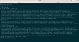 如何在 Debian 中安裝 Kali Linux 應用程序