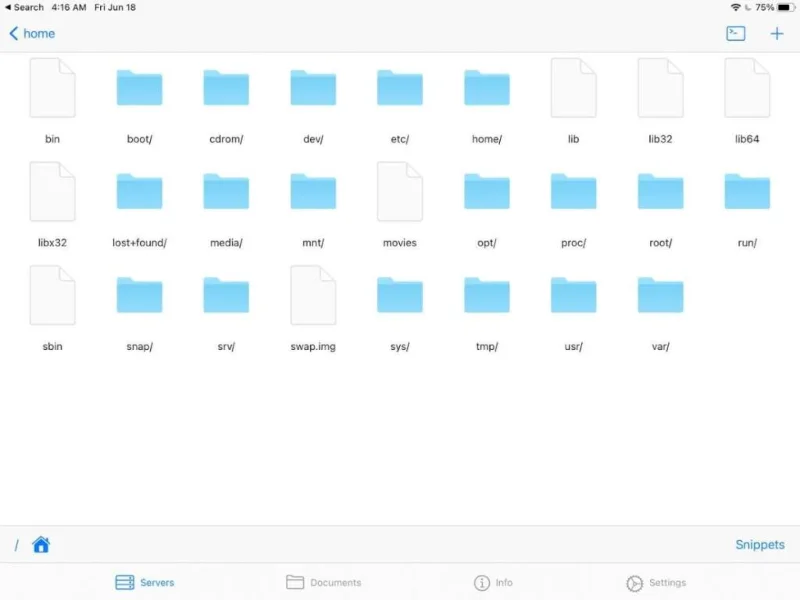 如何從 iPad 訪問遠程 Linux 計算機