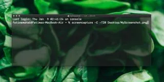 So erstellen Sie einen zeitgesteuerten Screenshot vom Terminal unter macOS