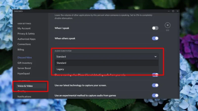 Kann niemanden auf Discord hören, Audio funktioniert nicht (BEHOBEN)