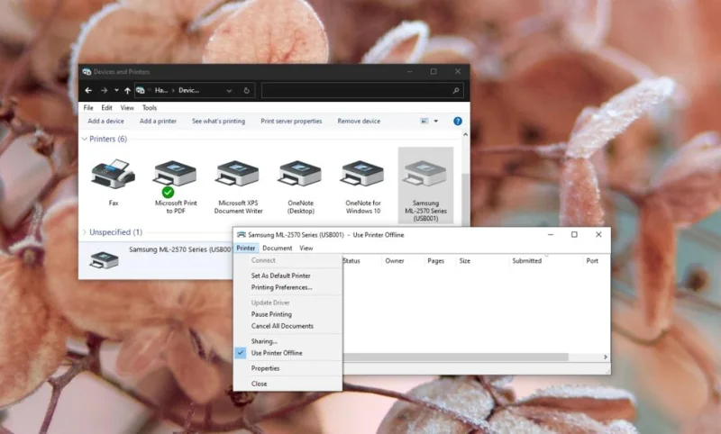 Pinter Offline [FIX] – Warum ist mein Drucker in Windows 10 offline?