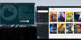 如何在 Linux 上使用 EA Origin
