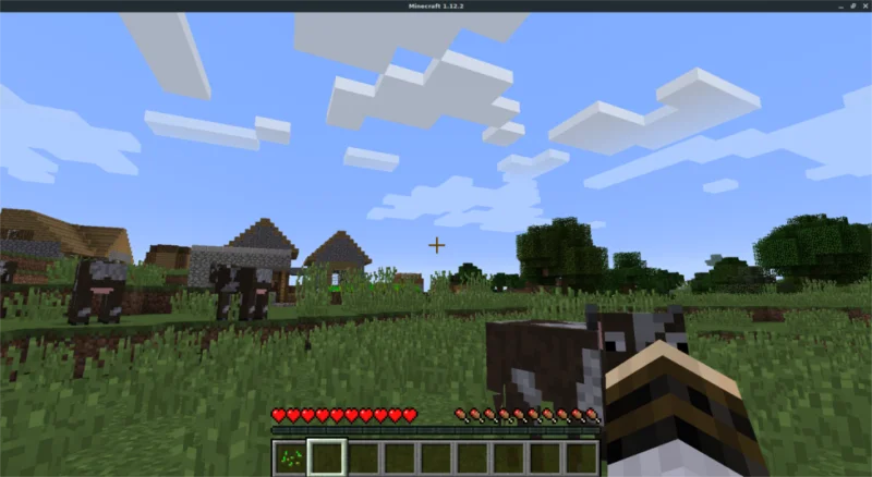Linuxta Minecraft Nasıl Oynanır