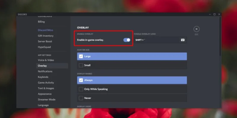 Discord Overlay non funziona o non viene visualizzato: ecco come disabilitarlo