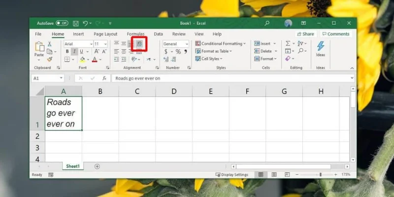 So beheben Sie den Textüberlauf in Zellen in Excel Office 365
