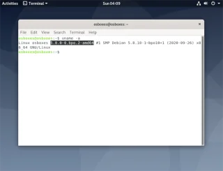 如何在 Debian 10 中獲取 Linux 內核 5.8 和 5.9