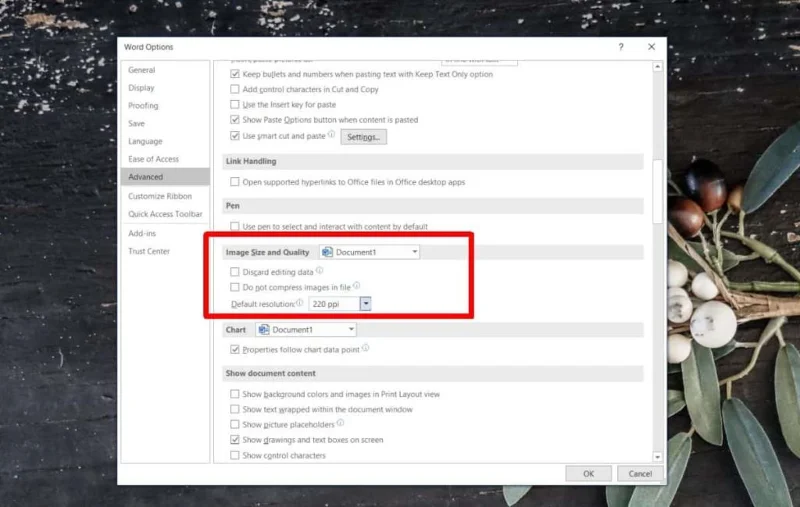 So deaktivieren Sie die Bildkomprimierung in Office 365