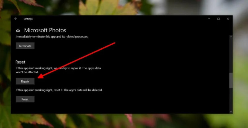 打印時 Windows 照片崩潰 - 這是修復