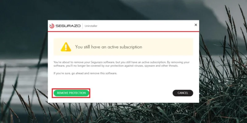 Disinstallazione di Segurazo Antivirus