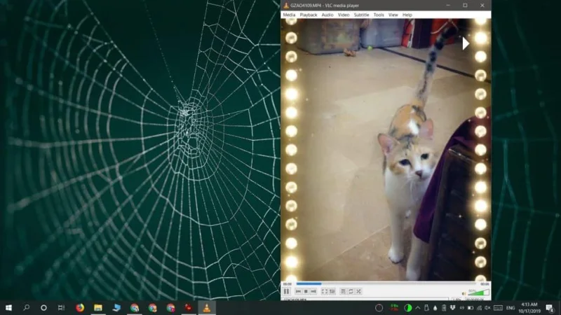 如何為垂直視頻自動調整 VLC 播放器的大小