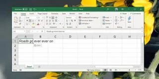 So beheben Sie den Textüberlauf in Zellen in Excel Office 365