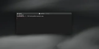 So führen Sie Terminalbefehle über ein Skript unter macOS aus