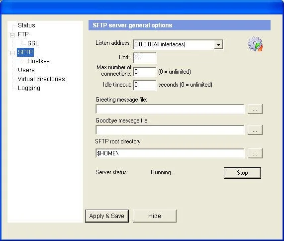 Il miglior server SFTP e FTPS per Windows e Linux nel 2021