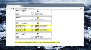 如何在 Windows 10 上使用 cURL