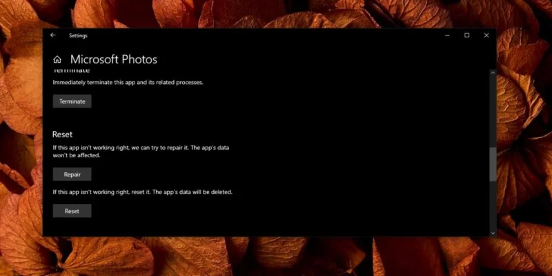 （已解決）視頻導出卡在 Microsoft 照片應用程序上 – 專家修復