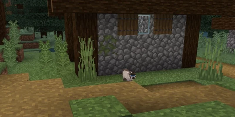 كيفية ترويض قطة في Minecraft