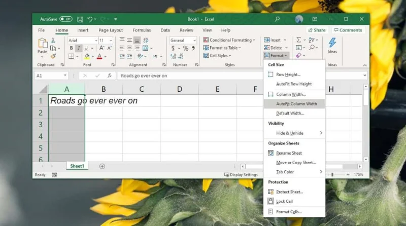 So beheben Sie den Textüberlauf in Zellen in Excel Office 365