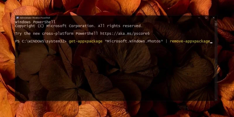 Windows10でのMicrosoftPhotos.exeの高メモリ使用量（解決済み）