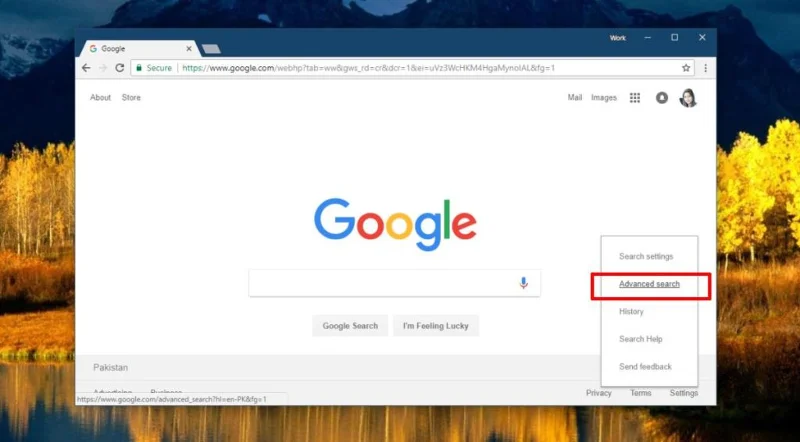 So erzwingen Sie Google-Suchergebnisse aus den USA