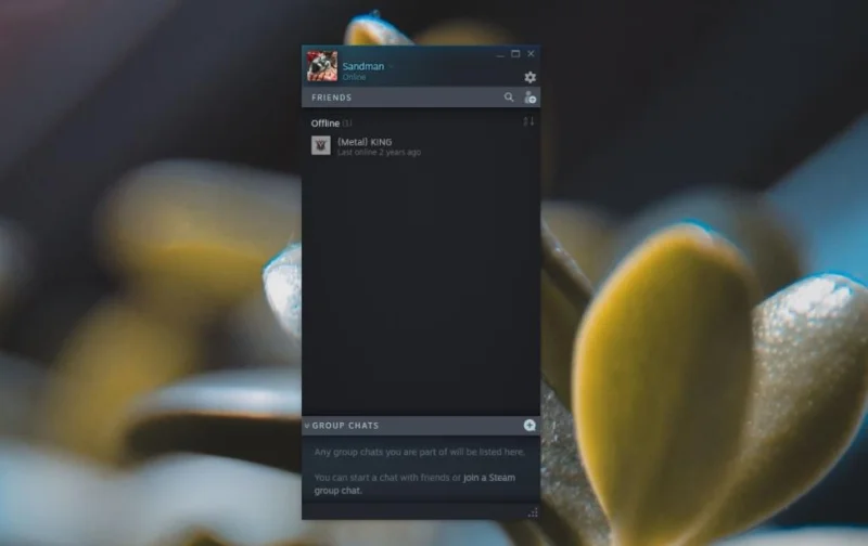 Wyszukiwanie użytkowników Steam: Jak wyszukiwać graczy na Steam (pełny przewodnik)