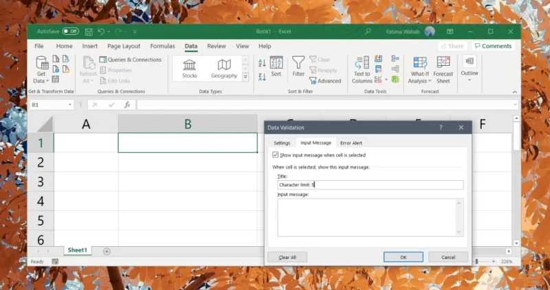 So fügen Sie Zellen in Excel eine Zeichenbeschränkung hinzu