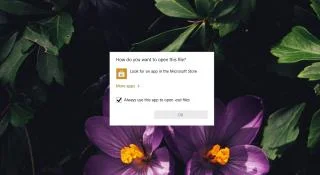Windows 10 上的“您想如何打開此文件”——如何更改應用程序？