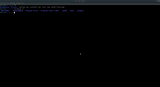 如何在 Linux 上備份 Wine 設置