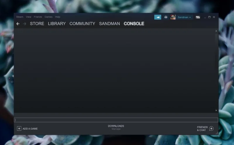 如何在 Windows 10 上打開 Steam 控制台