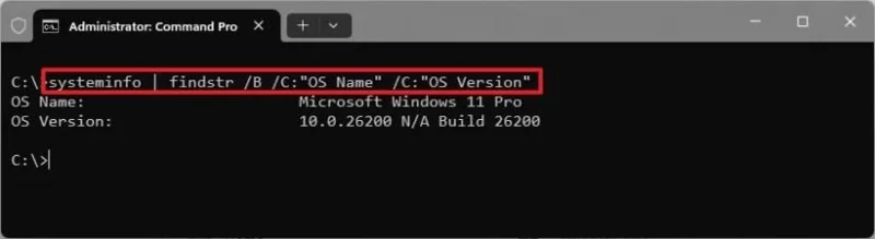 4 modi rapidi per verificare la versione su Windows 11