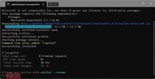 So installieren Sie die Copilot-Befehlszeilenschnittstelle unter Windows 11