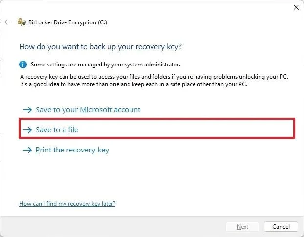 Come abilitare BitLocker su Windows 11