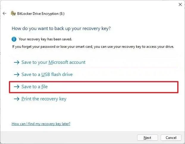 Come abilitare BitLocker su Windows 11