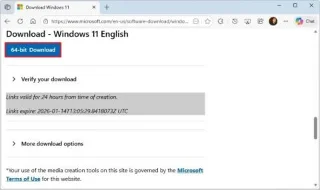 So installieren Sie Windows 11 25H2 neu