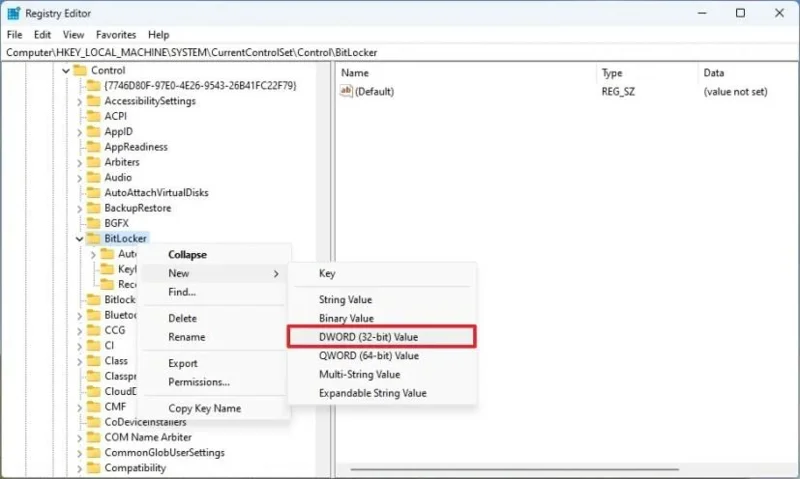 Come disattivare la crittografia automatica del dispositivo BitLocker durante l'installazione su Windows 11