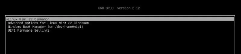 Come installare Windows 11 (o 10) e Linux Mint in dual boot