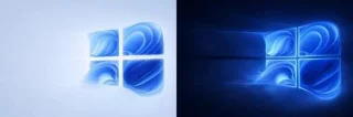 ดาวน์โหลดวอลเปเปอร์ Windows 11 Hero (Bloom) ที่สร้างโดยแฟนๆ