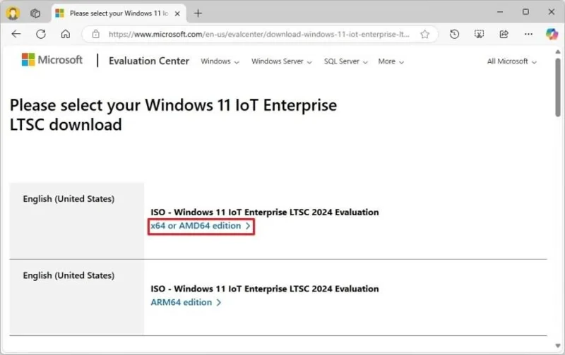 Come scaricare il file ISO di Windows 11 LTSC nel 2026