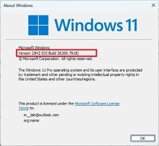 4 modi rapidi per verificare la versione su Windows 11