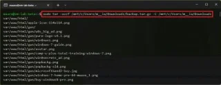 วิธีการแตกไฟล์ .tar.gz บน Windows 11