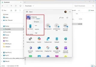 La compilación 26120.4151 para Windows 11 agrega la configuración avanzada en el canal beta.
