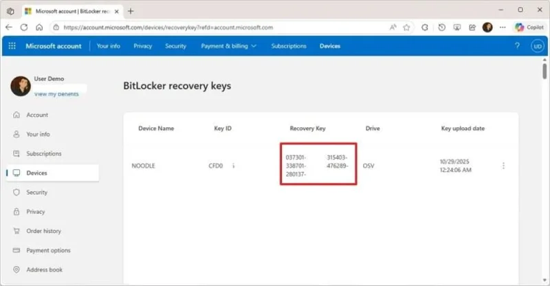 Come risolvere il problema della schermata di ripristino di BitLocker all'avvio di Windows 11